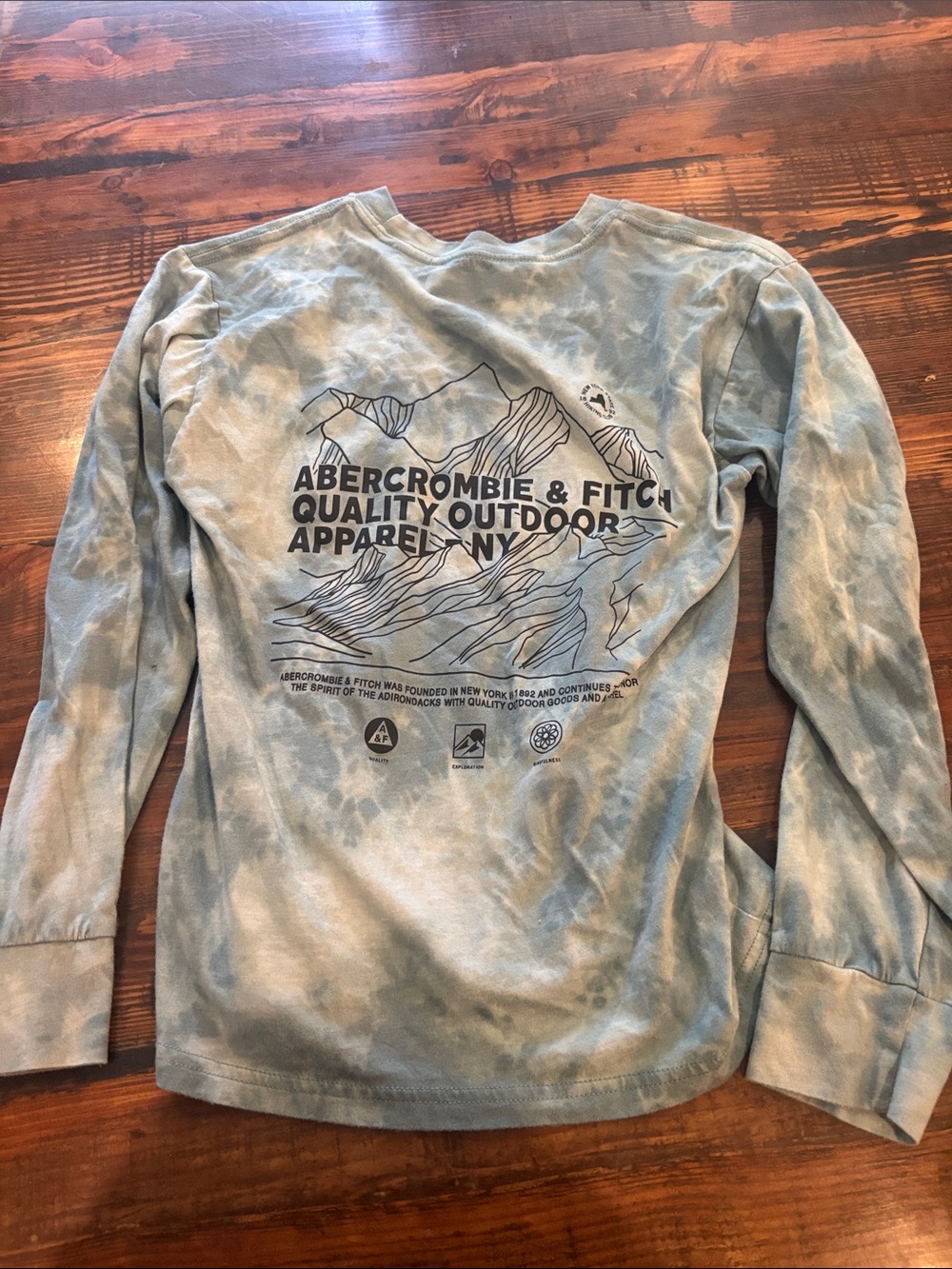 Abercrombie & Fitch Kids Long Sleeve Graphic Tee in Washed Light Blue